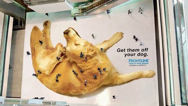 Billboard featuring a dog with fleas
